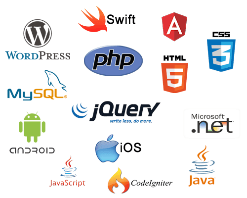 Web Development-image